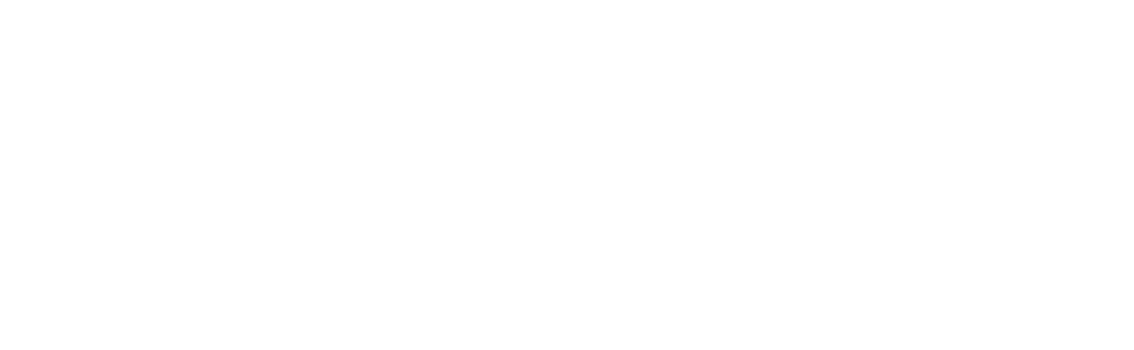 client logo vinfast