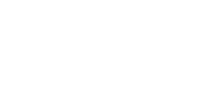 client logo theflo