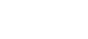 partner logo google