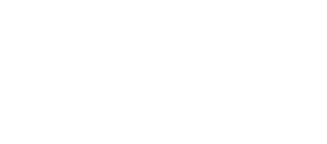 partner logo tiktok