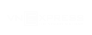 vnexpress@4x